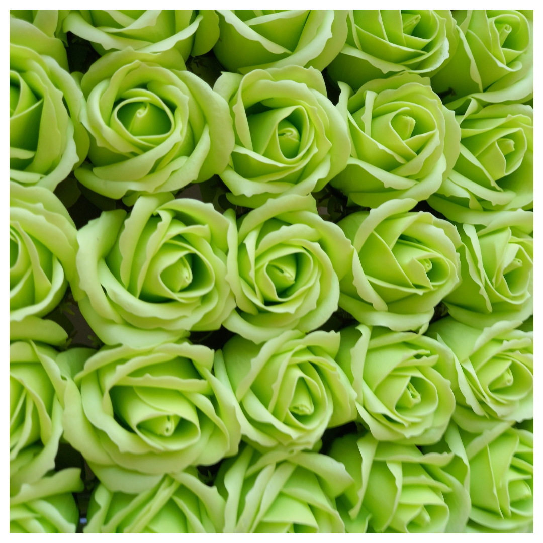 Rosas de sabão perfumadas 5*6,50cm aprox verde claro