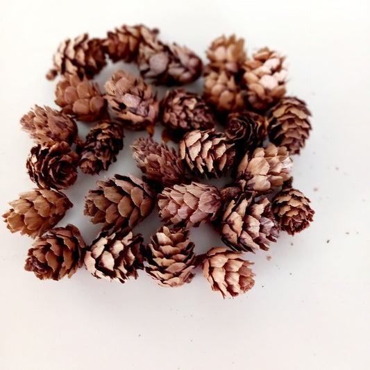 Mini pinhas naturais