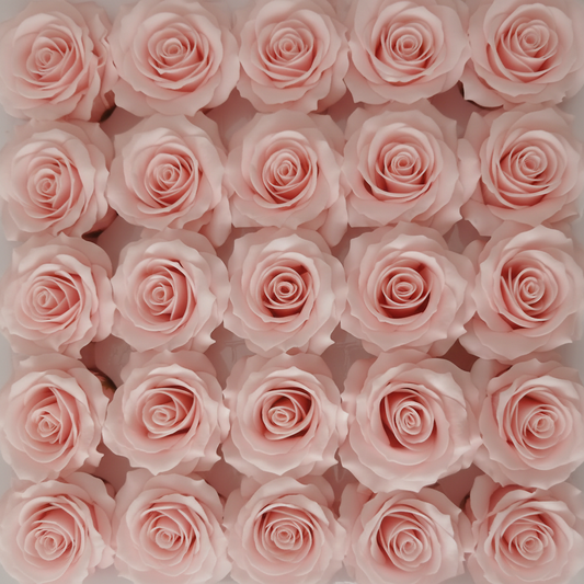 Rosas de Sabão Rosa Bebé